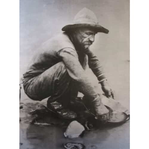 A Gold Miner Panning for Alluvial Gold.