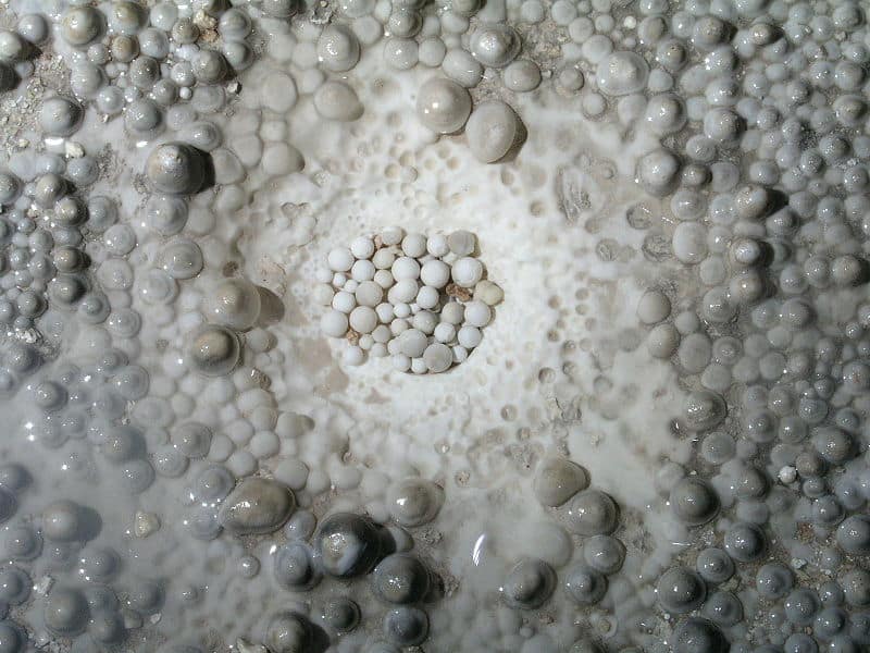Cave Pearls From the Carlsbad Caverns.