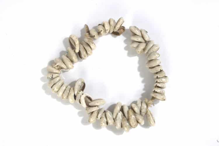 Cowrie Shell Necklace. © Trustees of the British Museum.