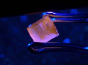 Fluorescence