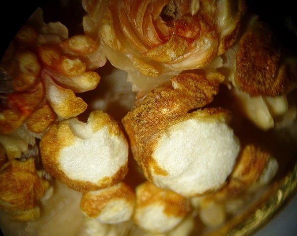 Microscopic Observations Revealed a Layered Organic Structure Consistent with this Type of Keratin Material. Strong LW UV Fluorescence Further Confirms the Identity of this as Hornbill Ivory. Finely Detailed, High Relief, Floral Carving is Typical of the Designs Carved for the Western Market from this Material During the 19th Century. No Evidence of Artificial Coloration was Observed. Minor Damage in the Form of Chipping was Observed on Several of the Carvings Due to the Layered, Brittle Nature of Hornbill Ivory.