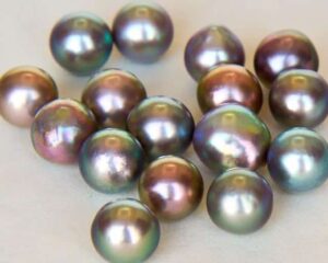 Sea of Cortez Pearls, from the “Rainbow Lipped Pearl Oyster” Pteria Sterna Exhibiting Orient. Photo Courtesy of The Sea of Cortez Pearl Blog.
