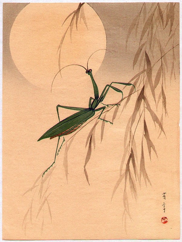 Praying Mantis and the Moon. Watanabe 1851-1918.