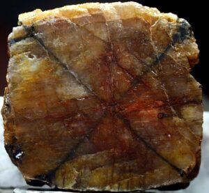 Andalusite var. Chiastolite.