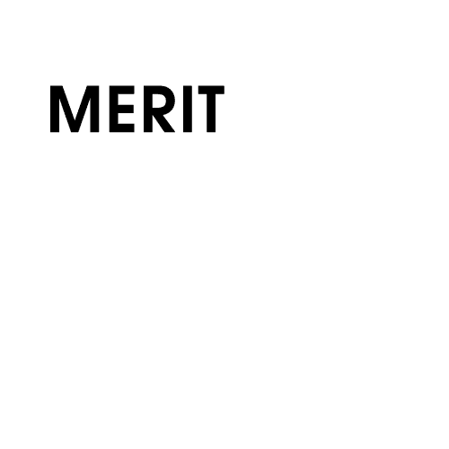 Merit Ring Co.