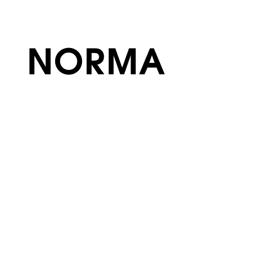 Norma Jewelry Corp.