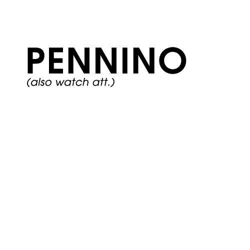 Pennino Bros. Inc.