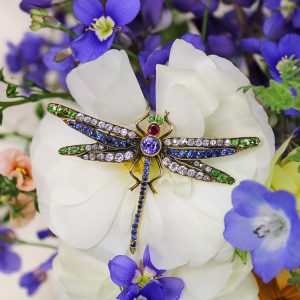 Edwardian Diamond, Ruby, Sapphire, & Demantoid Dragonfly Brooch.