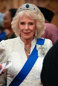 Queen Camilla at the Diplomatic Corps Reception, Windsor Castle, 11/18/25.