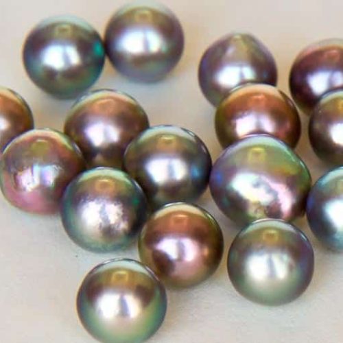 Sea of Cortez Pearls, from the “Rainbow Lipped Pearl Oyster” Pteria Sterna Exhibiting Orient. Photo Courtesy of The Sea of Cortez Pearl Blog.
