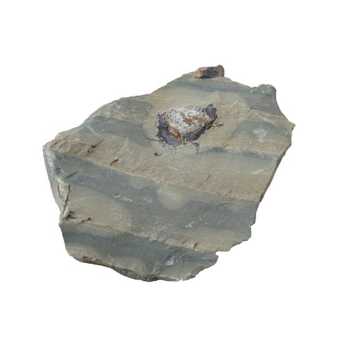 Gray Shale Rock. Gray Shale Rock.