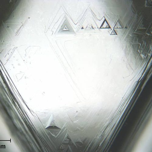 Trigons on the Face of a Natural Diamond. Photo Courtesy of Gump Stump, Wikipedia.